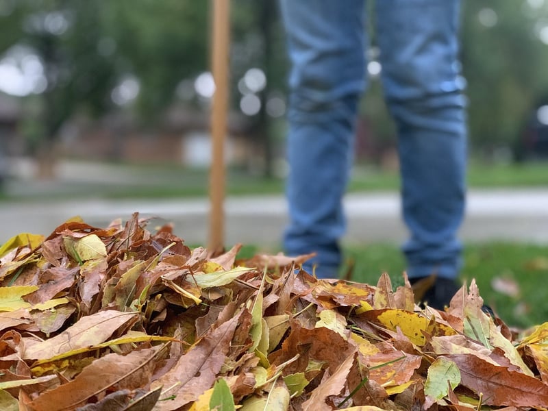 Mindful Raking